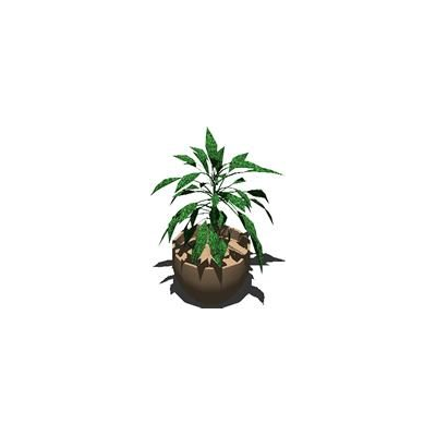 Plantas de interior  3d