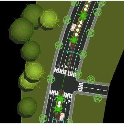 Carretera arborizada