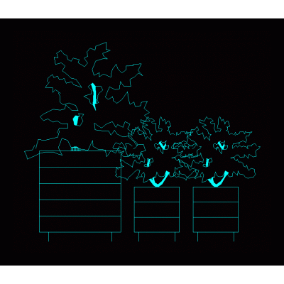 Plantas en vista