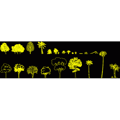Arboles