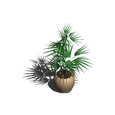 Plantas de interior  3d