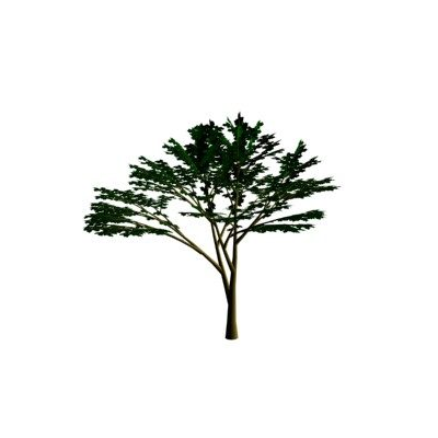 3d arbol