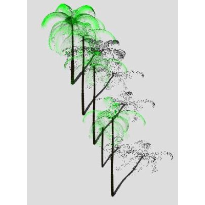 Palmeras Tropicales en 3D