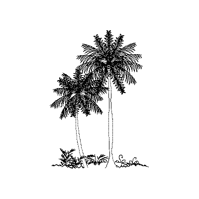 Palmeras