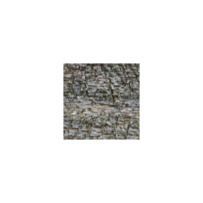 Texture in legno rustico
