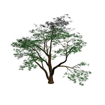 3d tree