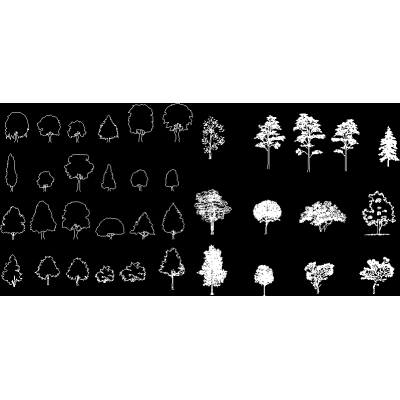 Trees