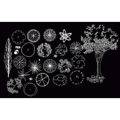 Vegetacao - vegetacion