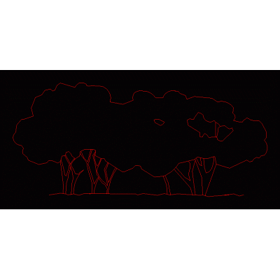 Arboles 2d