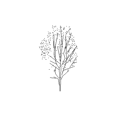 Arbol en alzado