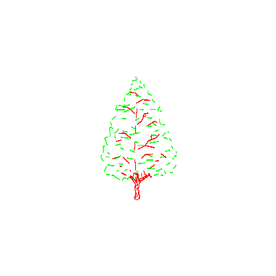Arbol En Alzado