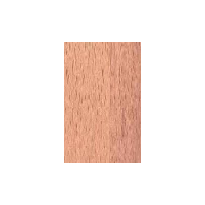 Struttura del legno di faggio