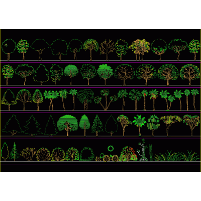 Arboles en alzado