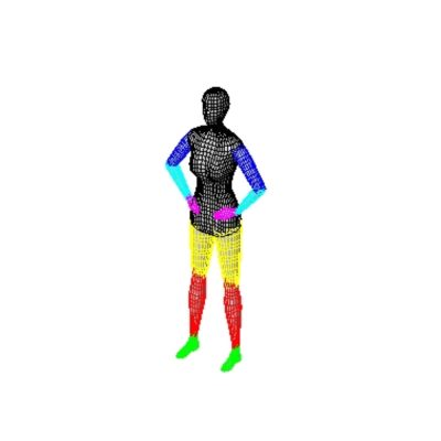Mujer de escala humana para revit. mujer