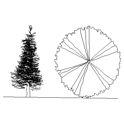 Arbol de abeto rojo