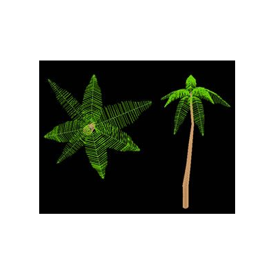 palm tree in 3d