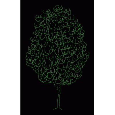 Arbol en Alzado Detallado