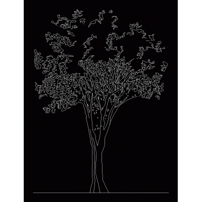 Arbol en vista