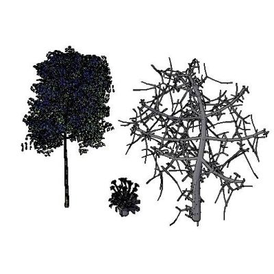 trees in 3d