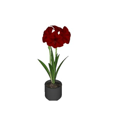 Flores 3d de alta definicion con textura