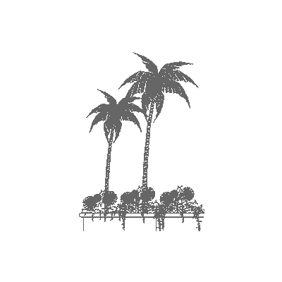 Palmeras