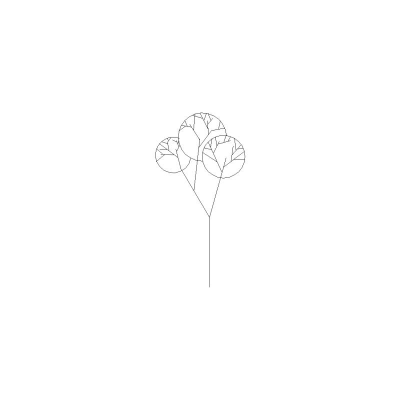 Arbol Visto En Alzado, Mod. 5