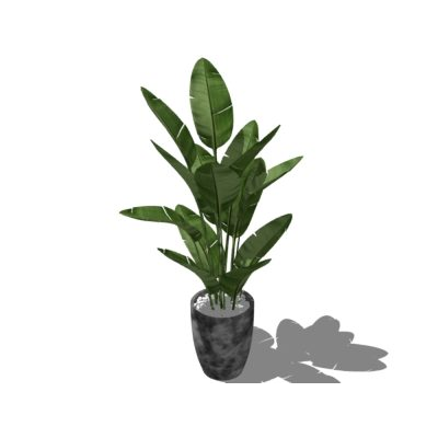 Exuberante Planta de Interior para Renders