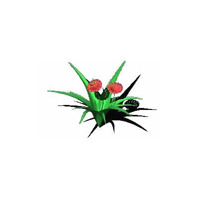 Flor  3d