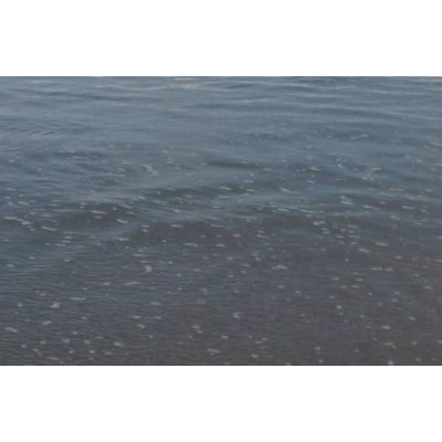Textura de Olas Apacibles