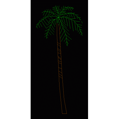Palmera 08