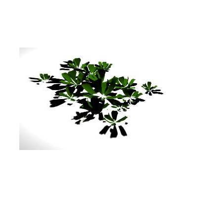 Planta de jardin 3d
