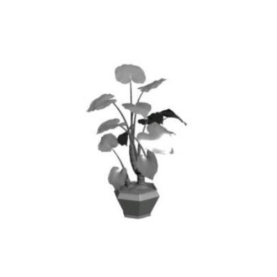 Planta