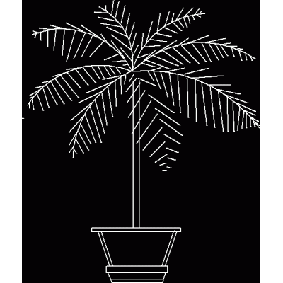 Palmera en Alzado