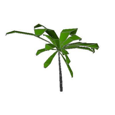 Mata - palmera 3d