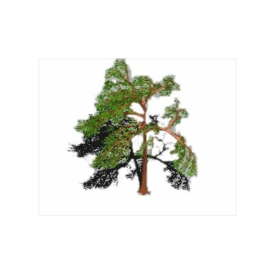 Arbol 3d