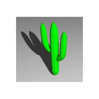 Cactus 3d