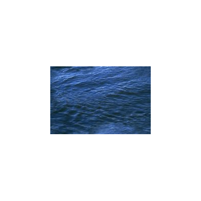 Ondas Acuaticas Realistas