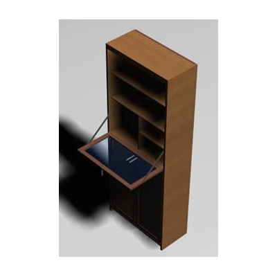 Wooden Display Case with Folding Door