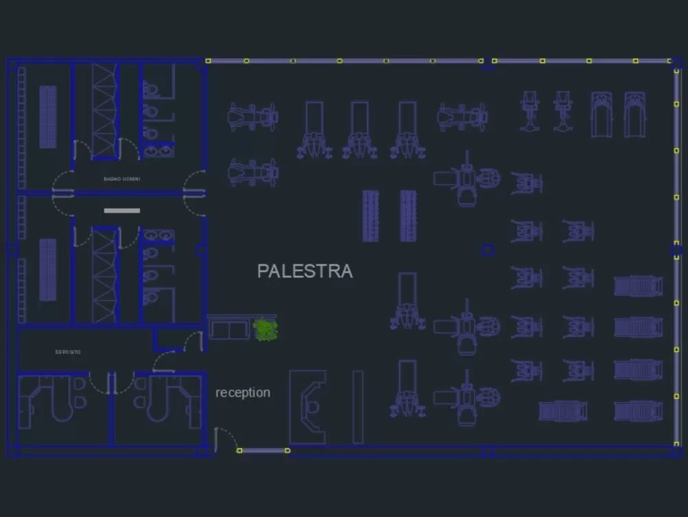 Plan of gym in AutoCAD debugged